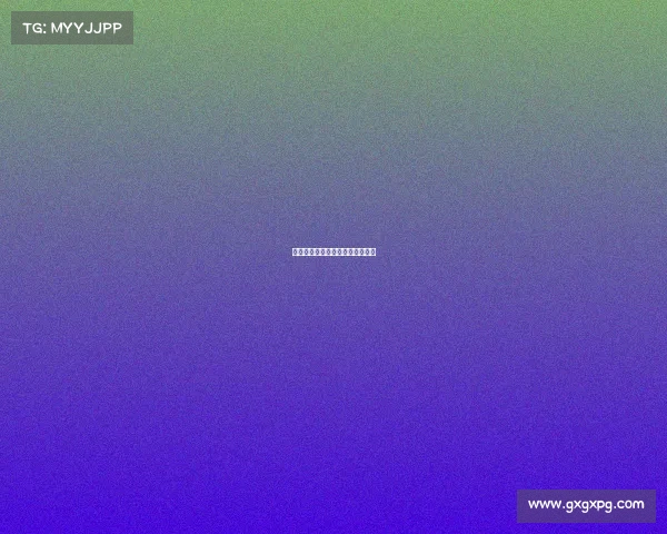 排球赛事法语词汇与实战应用指南