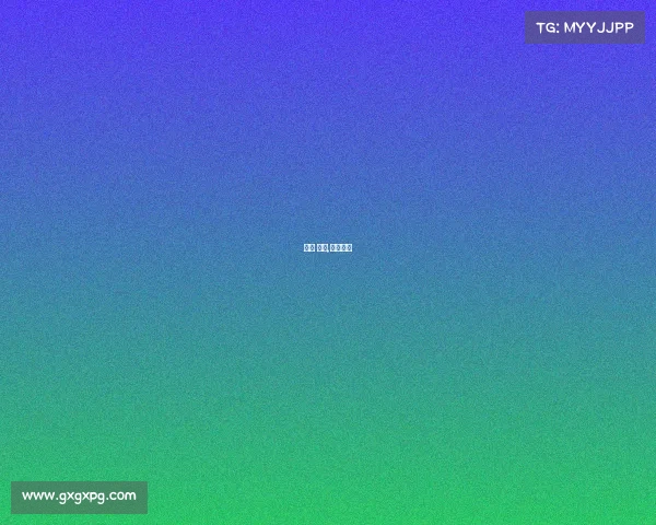 赛程 赛事,比赛赛程